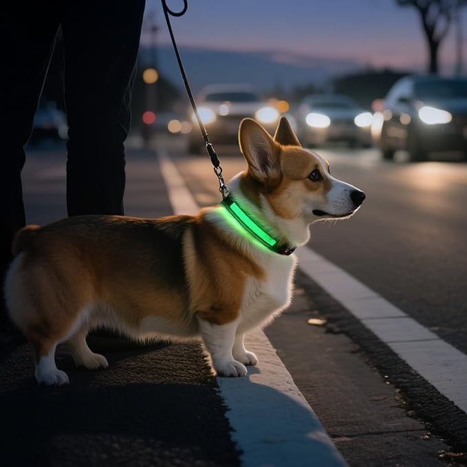 Light Up Dog Collar, 2026 Long-Lasting Power LED Dog Collar Lights for Night Walking, Rechargeable & Adjustable, Waterproof & Safety Glowing Collars for Small Medium and Large Dogs [Green-M] - Image 3