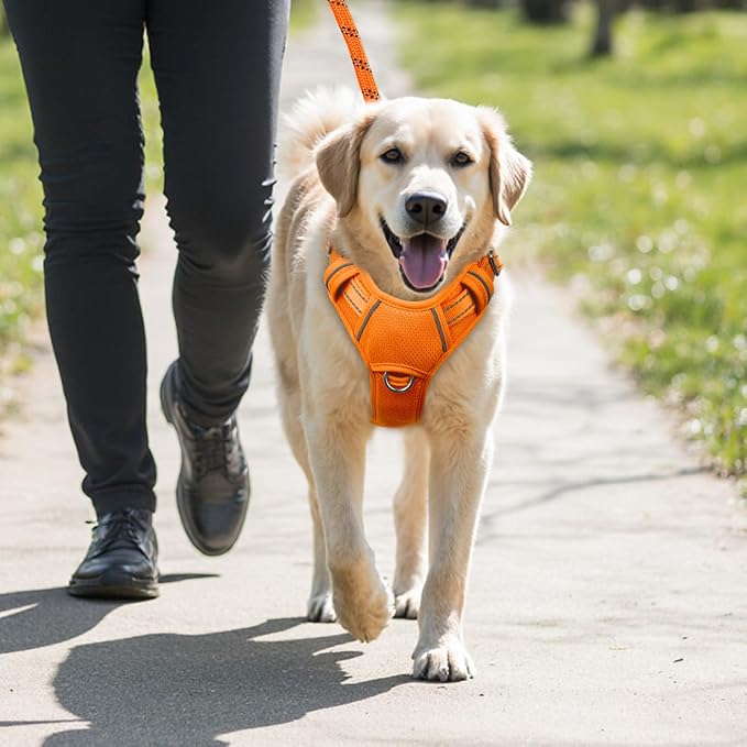 BARKBAY No Pull Dog Harness Large Reflective Dog Harness with Front Clip and Easy Control Handle for Walking Training Running with ID tag Pocket(Orange,L) - Image 9