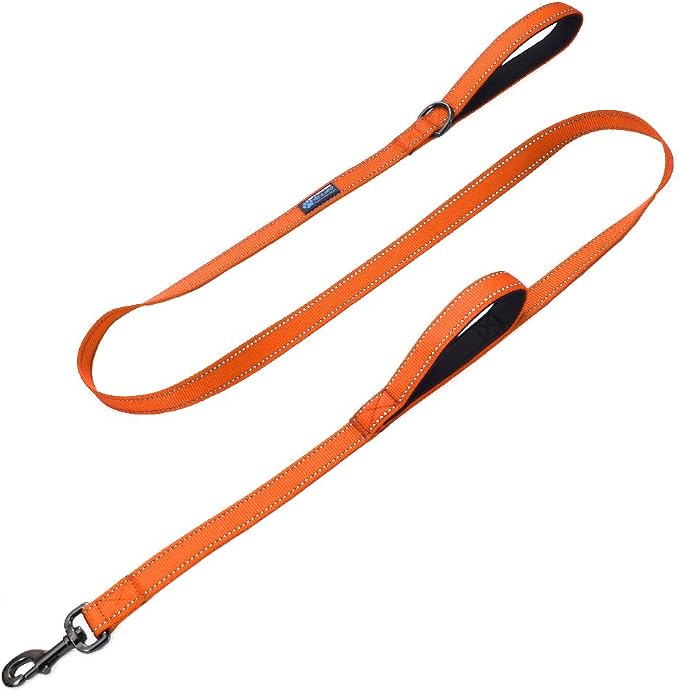Max and Neo Double Handle Traffic Dog Leash - Reflective, Donates to Dog Rescue (Orange, 6 FT) by MaxandNeo