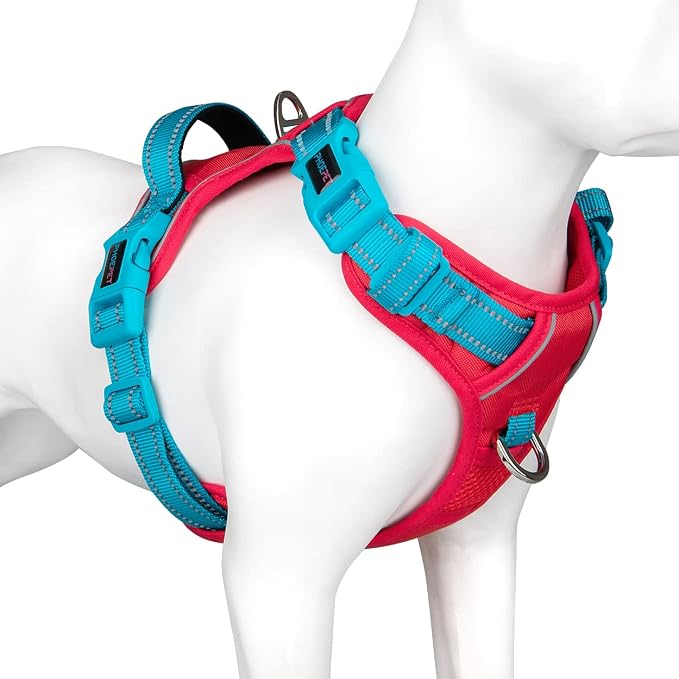 No Pull Dog Harness, Unique Colors Reflective Adjustable Dog Vest, with Soft Training Handle Metal Clips for Small Medium Large Dogs (Red Base & Teal Straps,XS) by PHOEPET