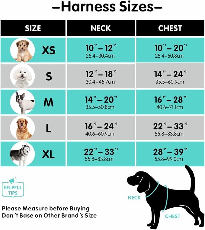 PoyPet Mesh Dog Harness, Reflective Breathable Puppy Vest for Small Dogs | Lightweight, Soft Air Mesh, Back D-ring, Adjustable, Comfortable, Double Padded, No Choke, for Daily Walking, S, Purple - Image 2