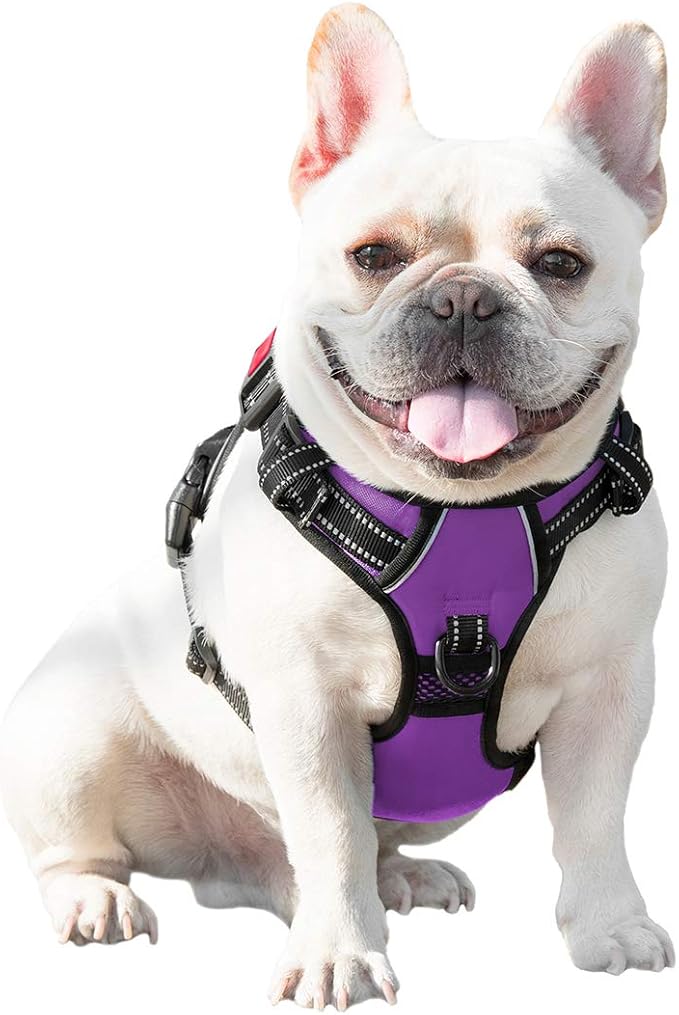 No Pull Dog Harnesses for Small Dogs Reflective Adjustable | Front Clip Vest with Handle 2 Metal Rings 3 Buckles [Easy to Put on & Take Off](XS, Purple) - Image 7
