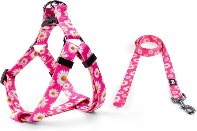 Dog Harness Leash Set Adjustable Heavy Duty No Pull Halter Harnesses for Small Medium Large Breed Dogs Back Clip Anti-Twist Perfect for Walking (L(23"-32" Chest Girth), Daisy) - Image 2