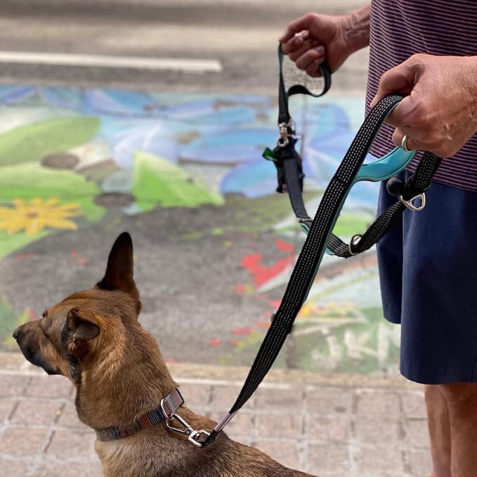 Heavy Duty Dog Leash for Large Dogs – 6FT Reflective Bungee with Padded Handles, Strong Carabiner Clip, No Pull Control for Medium & Large Breeds, Includes Poop Bag Holder & Treat Pouch (Orange) - Image 3