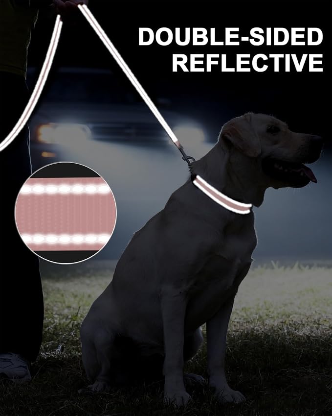 Taglory Reflective Dog Leash for Small Dogs, 3/4in x 5ft, Pink | Ideal for Night Walking, Strong for Sudden Pulls, Lightweight & Gentle on the Neck, Soft Padded Handle - Image 5
