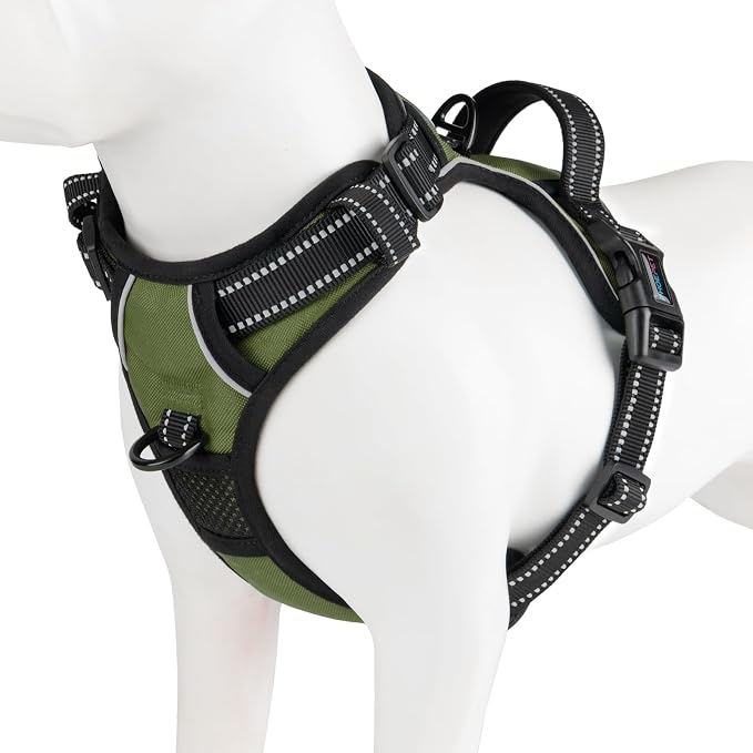 No Pull Dog Harness with Handle Reflective Padded Vest | for Small Medium Large Dogs, Adjustable Puppy Harnesses with Front & Back Clip Easy Walking (XL, Misty Green) by PHOEPET