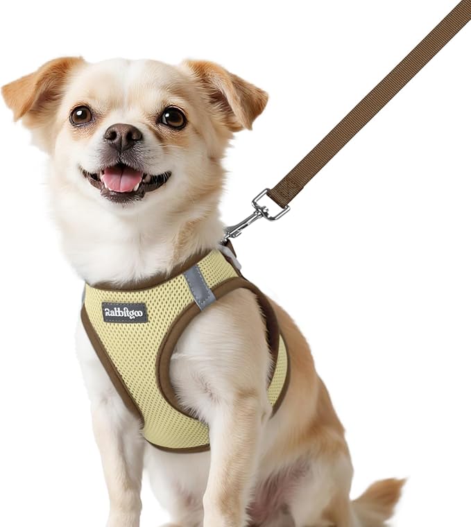 rabbitgoo Dog Harness Small Sized and Leash Set, Step in Soft Vest | Breathable Mesh, Easy Wear with Hook & Loop, Light and Reflective for Walking, Multi-colored, Beige & Coffee, XXS by rabbitgoo