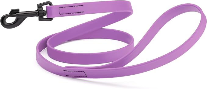 Dogline Biothane Waterproof Dog Leash Strong Coated Nylon Webbing with Black Hardware Odor-Proof Easy to Clean High Performance for Small or Large Dogs Made in USA 4 or 6 ft Lead, Amethyst Purple by Dogline