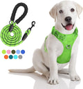 PoyPet Dog Harness and Leash Set, No Pull Vest with Front Clip and Handle | Escape Proof, Reflective, 3 Buckles, 2 D-rings, Adjustable, Soft Padded, 5 Feet Leash, for Walking Training, Green, M by PoyPet