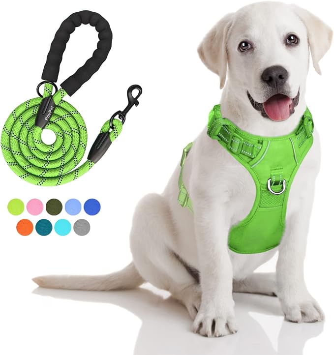 PoyPet Dog Harness and Leash Set, No Pull Vest with Front Clip and Handle | Escape Proof, Reflective, 3 Buckles, 2 D-rings, Adjustable, Soft Padded, 5 Feet Leash, for Walking Training, Green, M by PoyPet