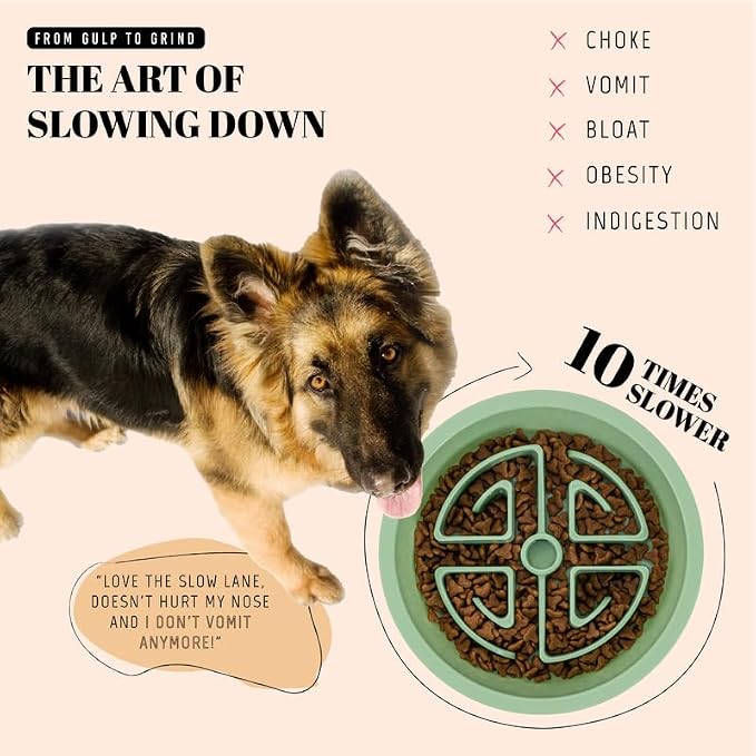 AVERYDAY Slow Feeder Dog Bowls for Large Breeds Fits Raised Feeding Station, Puzzle Dog Food Bowls to Slow Down Eating, Dogs Feeding Bowl with Non-Slip, Slows Feeder Pet Bowl for Wet and Dry Food - Image 2