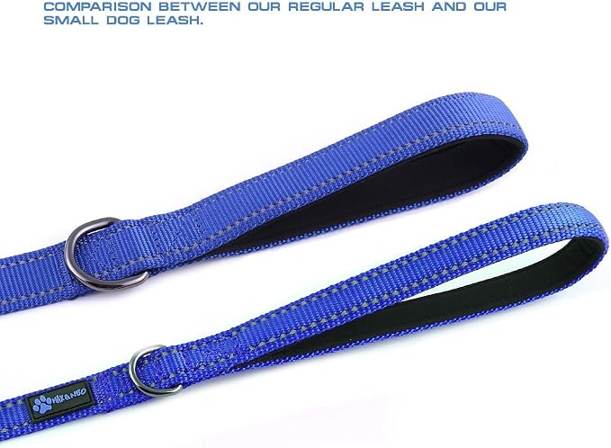 Max and Neo Small Dog Reflective Nylon Leash - Every Purchase Donates One, 4x5/8" (Blue) - Image 3