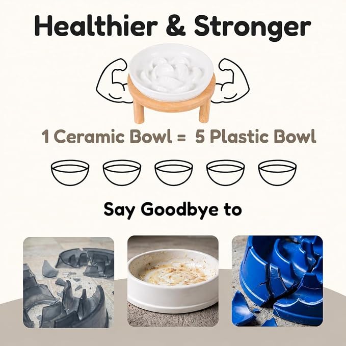 Slow Feeder Cat Bowls with Bamboo Stand, Ceramic Elevated Pet Food Plates for Cats and Small Dogs, Raised Non-Slip Feeder (White/6.3") - Image 8