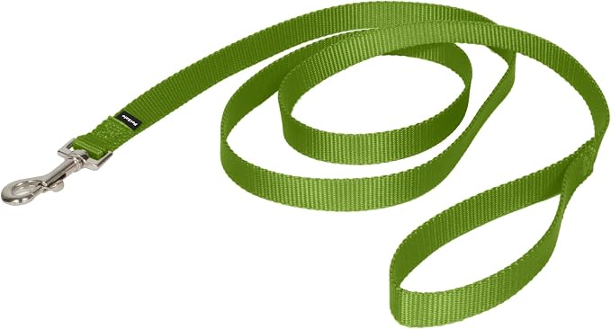 PetSafe Nylon Dog Leash - Strong, Durable, Traditional Style Leash with Easy to Use Bolt Snap - 3/4 in. x 6 ft., Apple Green | Durable Nylon Leash with Easy on/off Bolt Snap Hook, Pairs Perfectly with Easy Walk Harness and Gentle Leader Headcollar by PetSafe