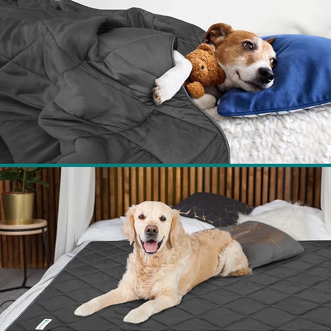PetAmi Premium Cooling Dog Blanket | Lightweight Fluffy Pet Throw Blanket Bed Cover for Dogs, Cat, Puppies | Pet Blanket Furniture Protector Couch Sofa | Reversible Fuzzy Cozy | 90x90, Grey - Image 2