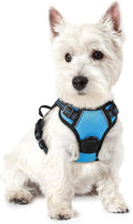 rabbitgoo Dog Harness, No Pull for Small Dogs with 2 Leash Clips, Pet Vest | No Choke with Handle, Adjustable Soft Padded, Reflective, Easy Control for Walking, Blue, X-Small by rabbitgoo