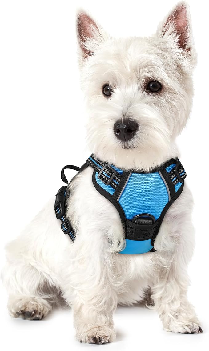 rabbitgoo Dog Harness, No Pull for Small Dogs with 2 Leash Clips, Pet Vest | No Choke with Handle, Adjustable Soft Padded, Reflective, Easy Control for Walking, Blue, X-Small by rabbitgoo