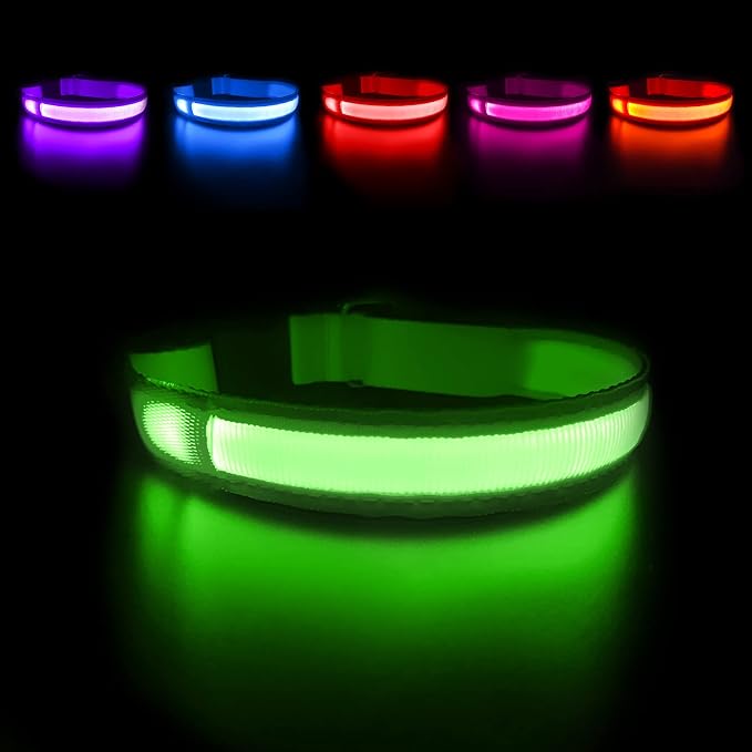 MASBRILL LED Dog Collar - Light Up Dog Collars Rechargeable - Waterproof Night Walking Glowing Dog Collar for Small, Medium, Large Dogs by MASBRILL