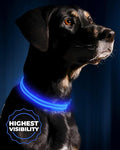 LED Dog Collar USB Rechargeable - Bright & High Visibility Lighted Glow Collar for Pet Night Walking - Weatherproof, in 6 Colors & 6 Sizes (Blue Medium) by Illumiseen