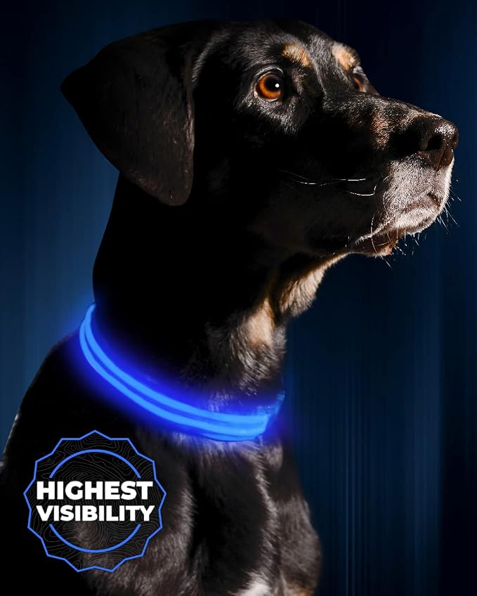ILLUMISEEN LED Dog Collar USB Rechargeable - Bright & High Visibility Lighted Glow Collar for Pet Night Walking - Weatherproof, in 6 Colors & 6 Sizes (Blue Small) by Illumiseen
