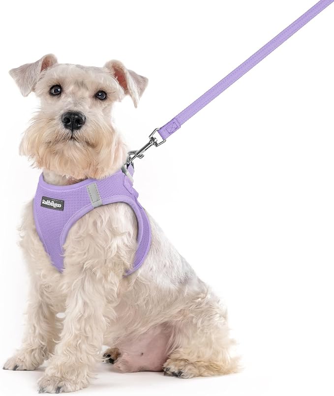 rabbitgoo Dog Harness Medium Sized and Leash Set, Step-in Puppy Pet Vest | Light, Soft, Breathable Air Mesh, Easy on and Remove with Hook & Loop, Secure Reflective for Walking, Light Purple XXL by rabbitgoo