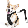 VavoPaw Dog Seat Belt Vest Harness for Car, 2 in 1 Seatbelt Buckle | Soft Breathable Mesh, Adjustable Buckle, Nylon, Heavy Duty Pet Safety Seat Belts for Small Medium Large Pets, Black, S by VavoPaw