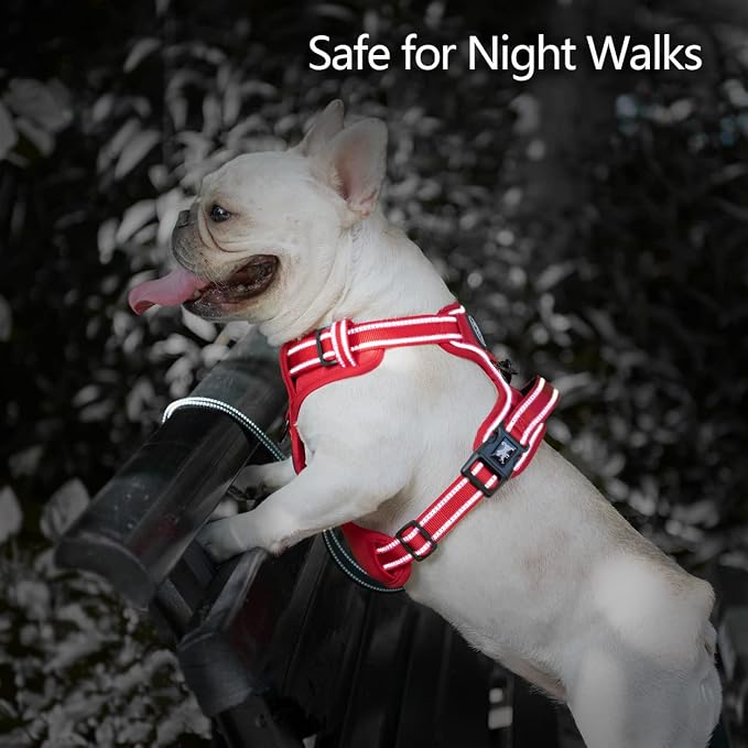 PoyPet No Pull Dog Harness, Reflective Vest with 2 Leash Clips & Handle | Lockable Neck Release Buckle, No Choke, Adjustable, Soft Padded, for Walking Training, Red Matching Trim, X-Small - Image 5