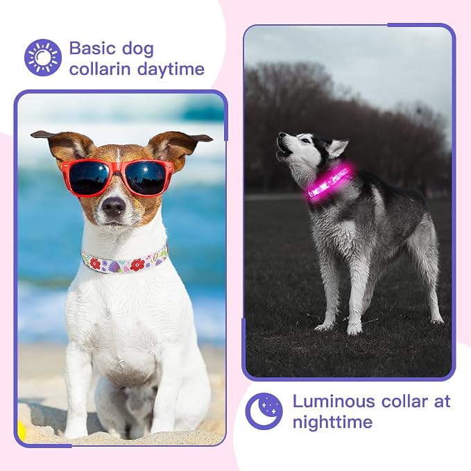 Light Up Dog Collar, USB Rechargeable, Floral Rose Print (L) | USB Rechargeable LED Dog Collar with Bright Light, Adjustable Fit, Floral Daisy Rose Design for Safe Night Walks - Image 6