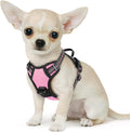 Eagloo Dog Harness for Small Dogs, No Pull Pet Vest with 2 Leash Clips | No Choke with Handle, Adjustable Comfort Fit, Reflective Strips, Easy Walking Control, Pink, X-Small by GoExplorewithEagloo