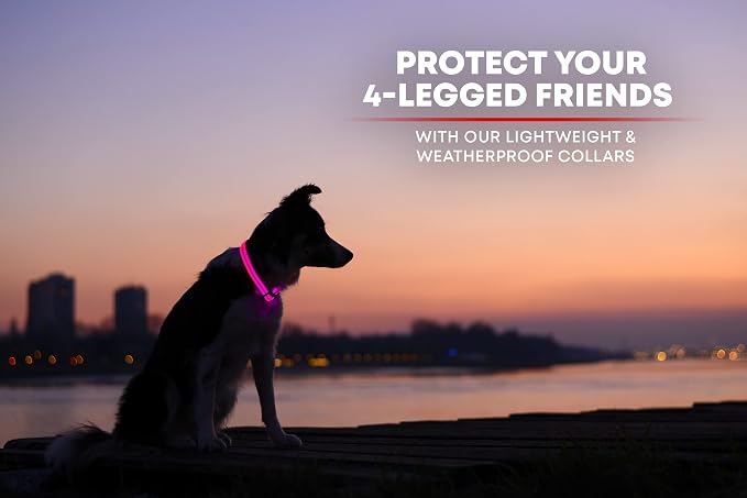 ILLUMISEEN LED Dog Collar USB Rechargeable - Bright & High Visibility Lighted Glow Collar for Pet Night Walking - Weatherproof, in 6 Colors & 6 Sizes (Pink X-Large) - Image 6