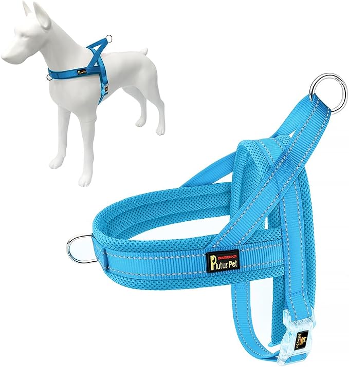 Plutus Pet No Pull Dog Harness for Large Dogs, Breathable Mesh Padded | Adjustable Reflective with Handle, Escape Proof, Quick Fit Pet Vest, Front Clip, for Training and Walking, Cyan, XL by PLUTUSPET