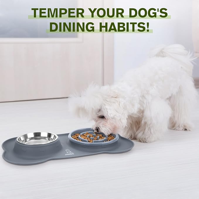 Pecute Slow Feeder Dog Bowls to Slow Down Eating, Dog Slow Feeder Bowl | No-Spill Non-Skid Silicone Mat, Food-Grade Safe Dog Food Bowls Slow Feeder, Stainless Steel Dog Water Bowl for Dogs Cats - Image 9