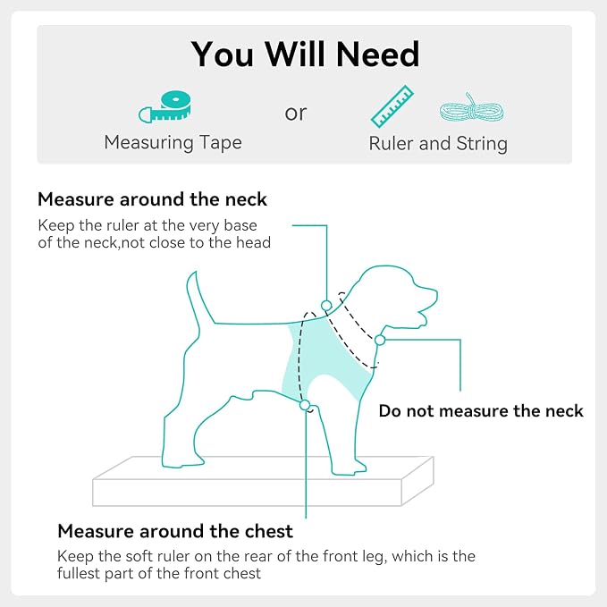 Joytale Step-in Dog Harness, Soft Breathable Mesh, Teal XL | Adjustable Fit for Small Dogs, Easy Step-in with Secure Fastener, Even Chest Pressure, Reflective For Night Safety, Washable - Image 7