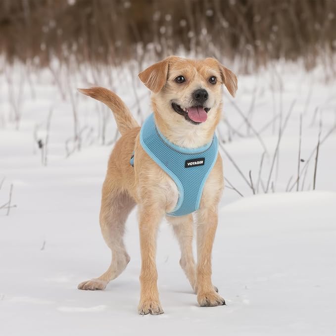 Best Pet Supplies Voyager Aerolite Over the Head Dog Harness, No Pull Breathable Air Mesh Vest, Quick Dry with Reflective Stitching, Adjustable Escape Resistant Harness - Blue, Small - Image 6