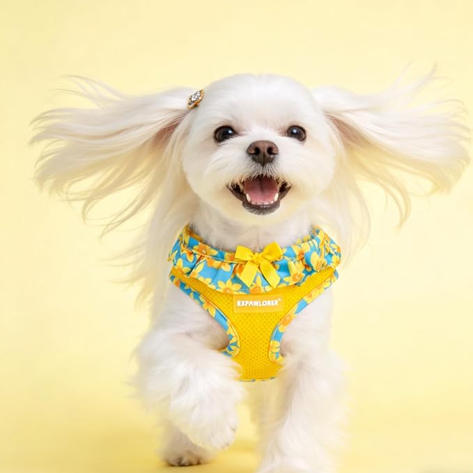 EXPAWLORER Step-in Dog Harness Small Sized and Leash Set | Cute Small Dog Harness No Pull Girl, Breathable Soft Mesh Padded, Adjustable Light Puppy Vest for Dogs Cats, Daffodil XS - Image 7