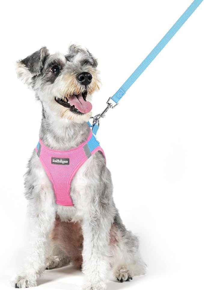 rabbitgoo Dog Harness Medium Sized and Leash Set, Step-in Puppy Pet Vest | Light, Soft, Breathable Air Mesh, Easy on and Remove with Hook & Loop, Secure Reflective for Walking, Blue & Light Pink XL by rabbitgoo