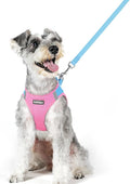 rabbitgoo Dog Harness Medium Sized and Leash Set, Step-in Puppy Pet Vest | Light, Soft, Breathable Air Mesh, Easy on and Remove with Hook & Loop, Secure Reflective for Walking, Blue & Light Pink XL by rabbitgoo