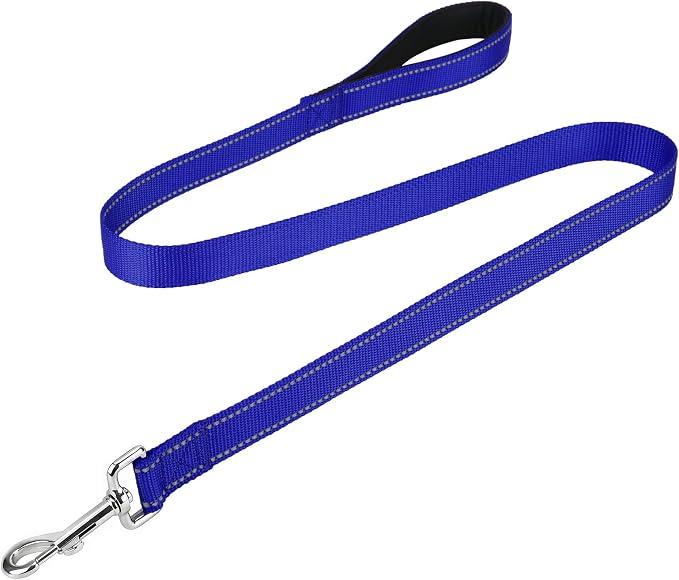 FunTags Reflective Nylon Dog Leash for Small & Medium Dogs, 4FT Training | Comfortable Padded Grip, Stay Safe at Night, 360° Anti-Tangle Swivel, for Dog Parks & Trails, Royal Blue by FUNSTARTSHERE