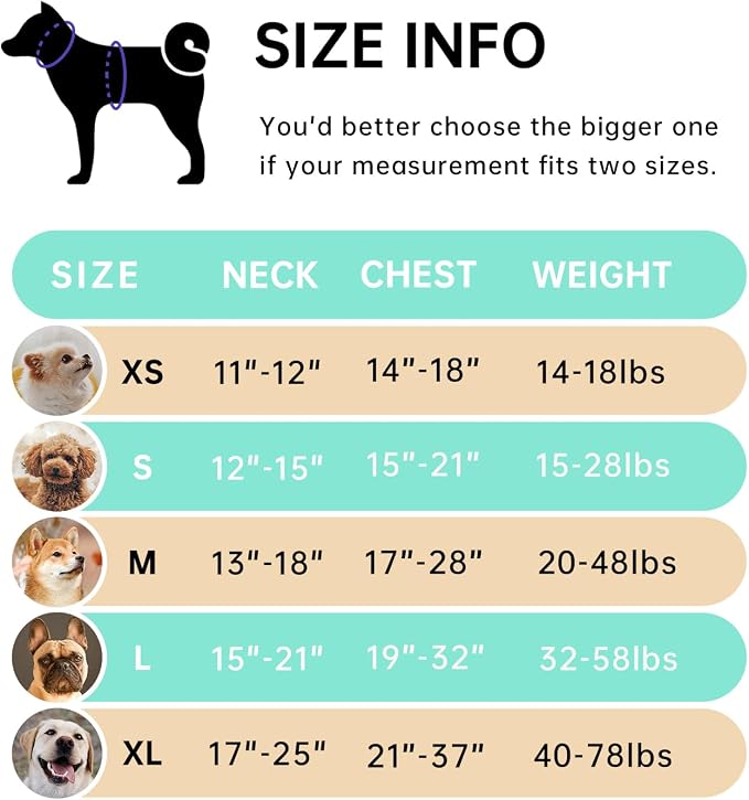 IVY&LANE No Pull Dog Harness with Leash Set, Reflective No Choke Pet Vest,Adjustable Oxford Dog Vest Harness with Easy Control Handle for Large Dogs (Turquoise,L) - Image 2