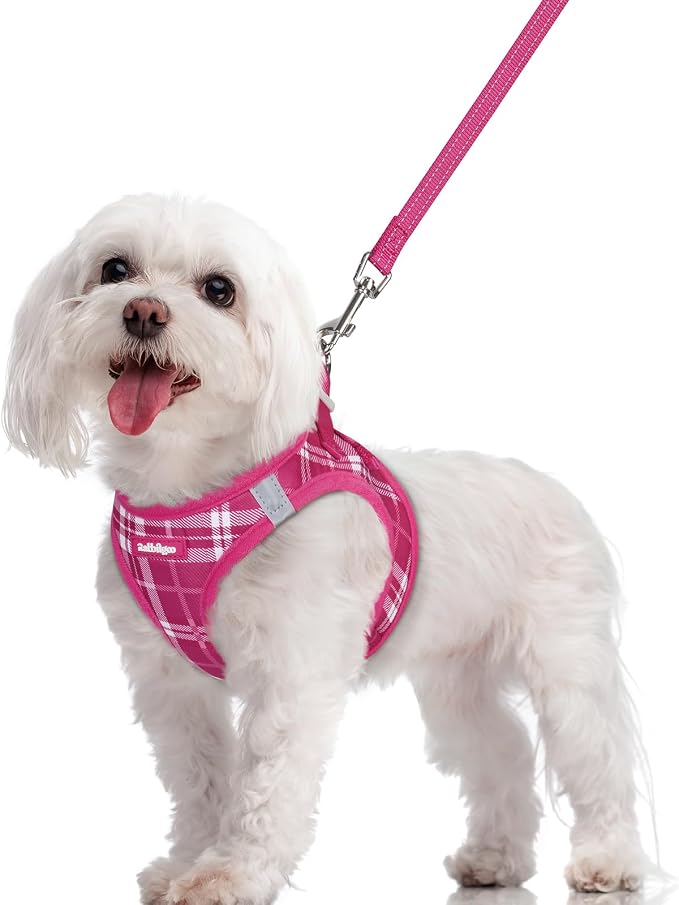 rabbitgoo Dog Harness Small Sized and Leash Set, Step-in Puppy Pet Vest | Light, Soft, Breathable Air Mesh, Easy on and Remove with Hook & Loop, Secure Reflective for Walking, Rose Red Plaid M by rabbitgoo