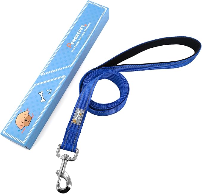 6 FT Basic Dog Leash for Medium Dogs,Padded Handle,Blue | Padded Handle,Metal D-Ring,Heavy Duty Nylon Webbing, for Walking & Training - Image 6
