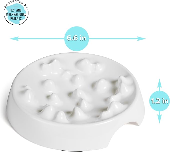 CatGuru Whisker-Friendly Slow Feeder Cat Bowl for Healthy Digestion | Perfect for kittens, adult, and senior cats. Encourages calm, healthy eating habits at every age. - Image 7
