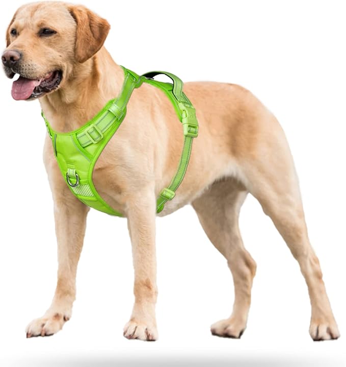 PoyPet No Pull Dog Harness, Reflective Vest with 2 Leash Clips & Handle | Lockable Neck Release Buckle, No Choke, Adjustable, Soft Padded, for Walking Training, Green Matching Trim, Small - Image 2