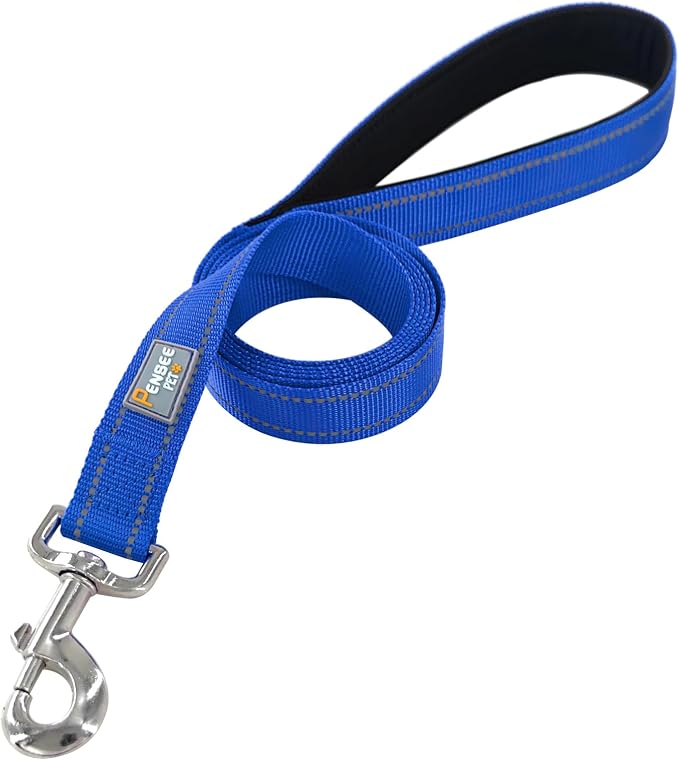 6 FT Basic Dog Leash for Medium Dogs,Padded Handle,Blue | Padded Handle,Metal D-Ring,Heavy Duty Nylon Webbing, for Walking & Training - Image 2