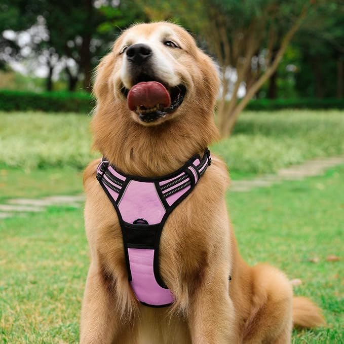 rabbitgoo Dog Harness, No Pull for Large Dogs with 2 Leash Clips, Pet Vest | No Choke with Handle, Adjustable Soft Padded, Reflective, Easy Control for Walking, Pink, Large - Image 8