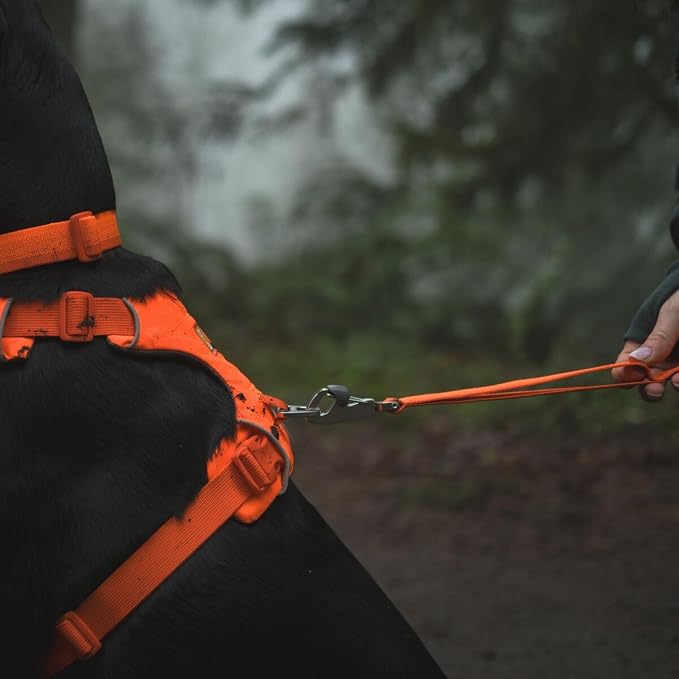 Ruffwear, Front Range Dog Leash, 5 ft Lead, Blaze Orange | Light & Strong Lockable Swivel Crux Clip, Padded Handle, Durable Webbing, Traffic Handle & Accessory Loop for Everyday Walks - Image 4