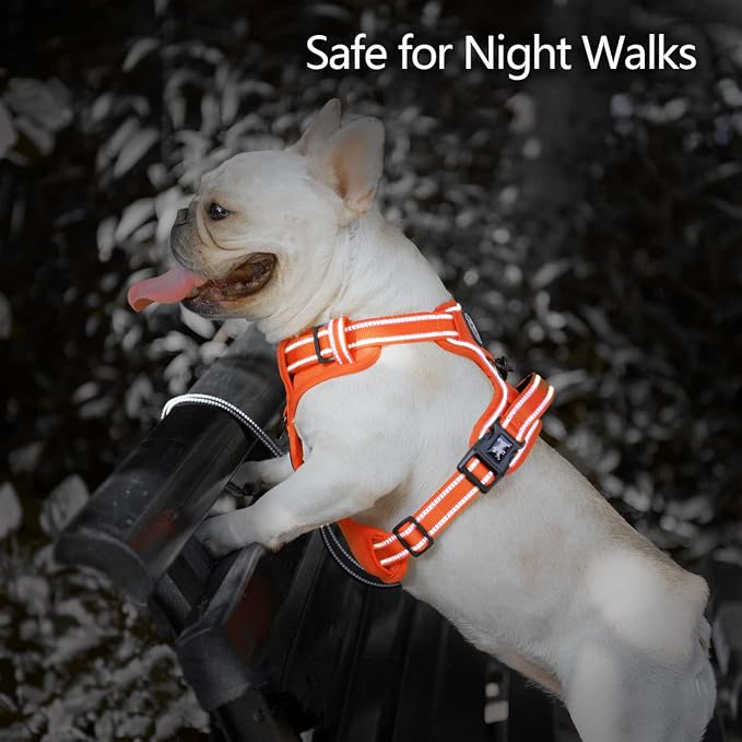 PoyPet No Pull Dog Harness, Reflective Vest with 2 Leash Clips & Handle | Lockable Neck Release Buckle, No Choke, Adjustable, Soft Padded, for Walking Training, Orange Matching Trim, X-Small - Image 6