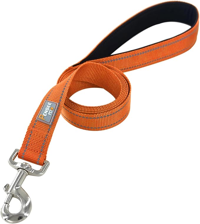 6 FT Basic Dog Leash for Medium Dogs,Orange | Padded Handle,Metal D-Ring,Heavy Duty Nylon Webbing, for Walking & Training - Image 3