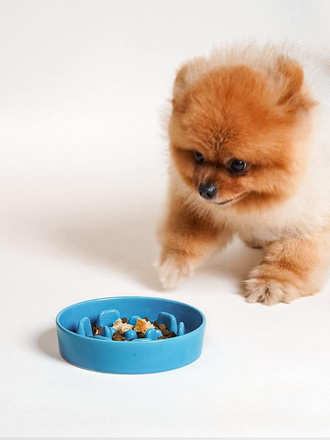 LE TAUCI Ceramic Slow Feeder Dog Bowls Small Breed, 0.6 Cups Dog Food Dish for Fast Eaters, Puzzle Bowl for Small Dogs and Cats,Vortex Blue - Image 7