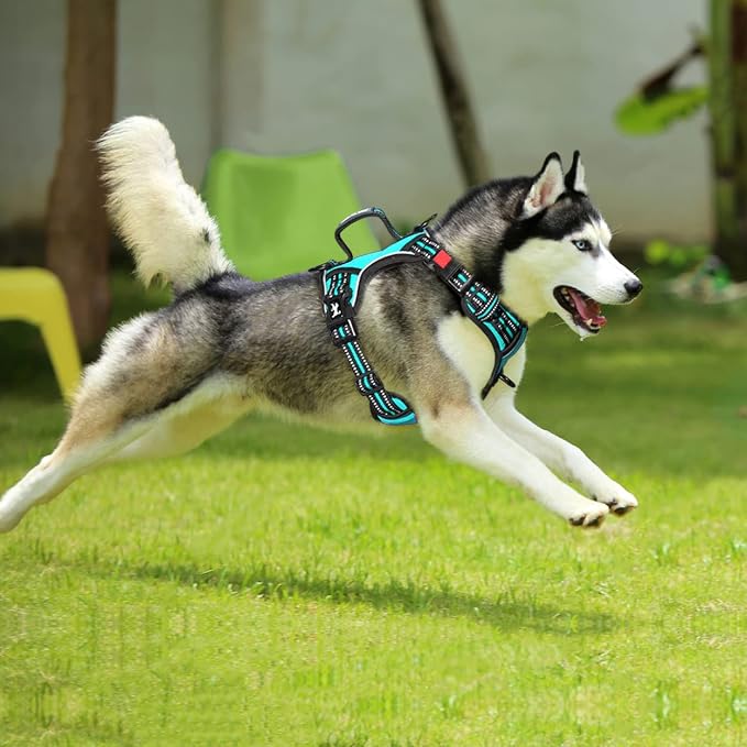 PoyPet No Pull Dog Harness with 3 Leash Clips and Vertical Handle | No Choke, Reflective, Adjustable, Soft Padded, Dog Vest for Large Dogs, Walking Training, Mint Blue, L - Image 3
